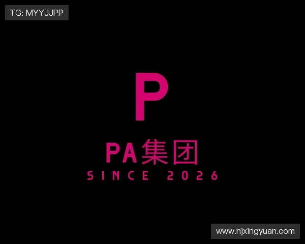 关于PA集团